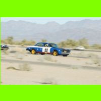 510 - LeMons Chuckwalla 2012.jpg